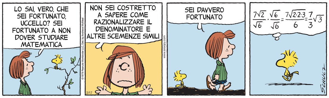 foto peanuts