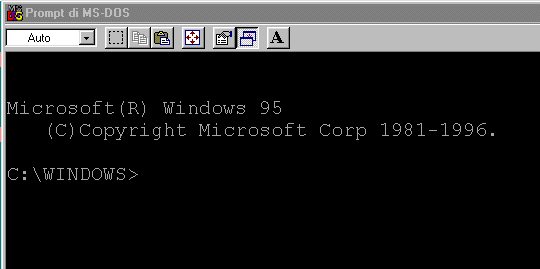 prompt.gif (6127 byte)
