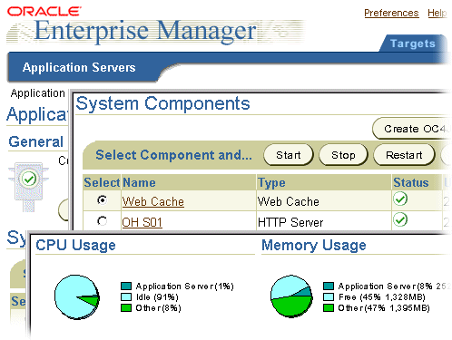 The Console showing metrics for multiple Oracle9iAS components